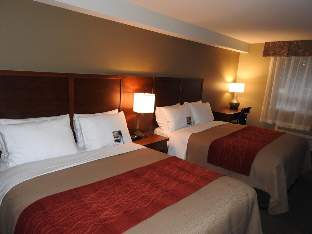 Comfort Inn & Suites Langley Exterior photo